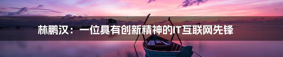 林鹏汉：一位具有创新精神的IT互联网先锋