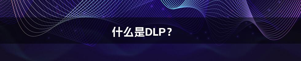 什么是DLP？