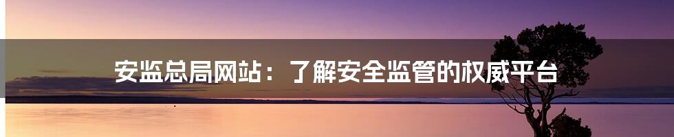 安监总局网站：了解安全监管的权威平台