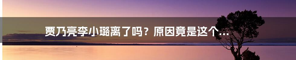 贾乃亮李小璐离了吗？原因竟是这个...