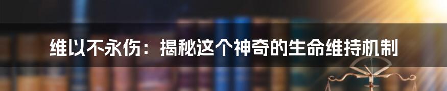 维以不永伤：揭秘这个神奇的生命维持机制