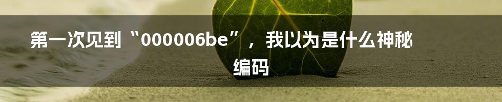 第一次见到“000006be”，我以为是什么神秘编码