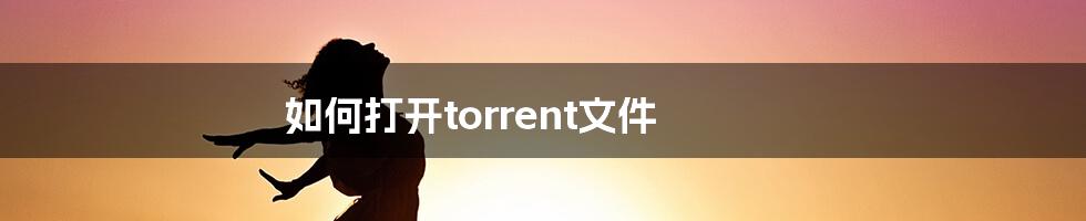 如何打开torrent文件