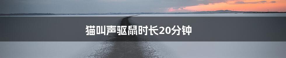 猫叫声驱鼠时长20分钟