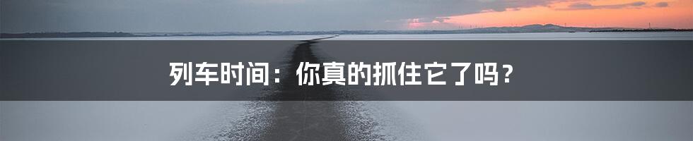 列车时间：你真的抓住它了吗？