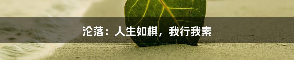 沦落：人生如棋，我行我素