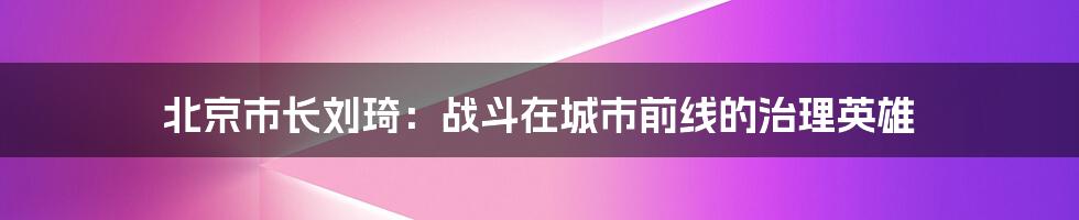 北京市长刘琦：战斗在城市前线的治理英雄