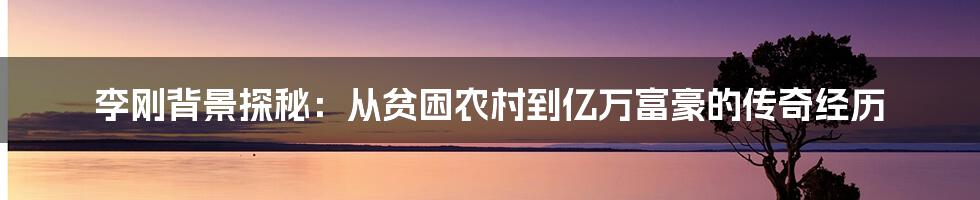 李刚背景探秘：从贫困农村到亿万富豪的传奇经历