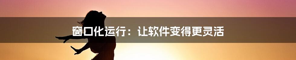 窗口化运行：让软件变得更灵活