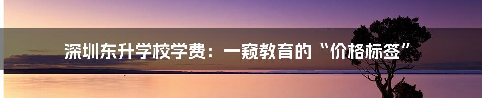 深圳东升学校学费：一窥教育的“价格标签”