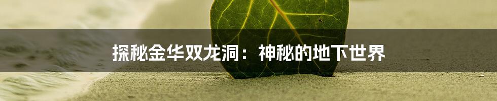 探秘金华双龙洞：神秘的地下世界