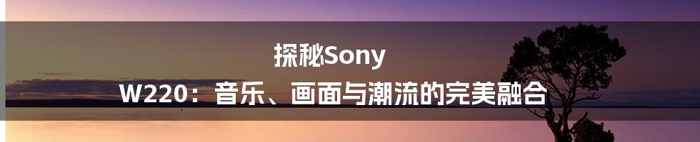 探秘Sony W220：音乐、画面与潮流的完美融合