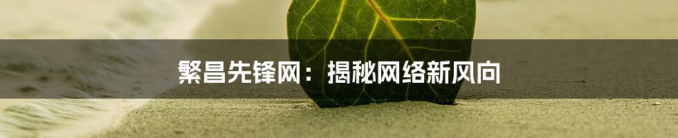 繁昌先锋网：揭秘网络新风向