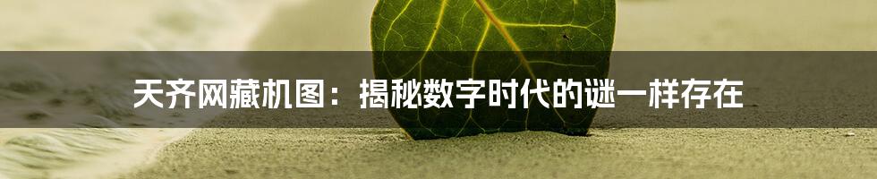 天齐网藏机图：揭秘数字时代的谜一样存在