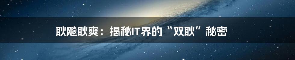 耿飚耿爽：揭秘IT界的“双耿”秘密