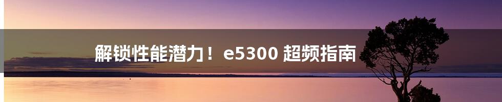 解锁性能潜力！e5300 超频指南