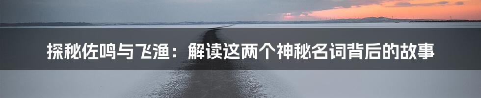 探秘佐鸣与飞渔：解读这两个神秘名词背后的故事