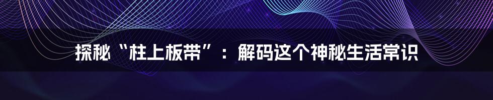 探秘“柱上板带”：解码这个神秘生活常识