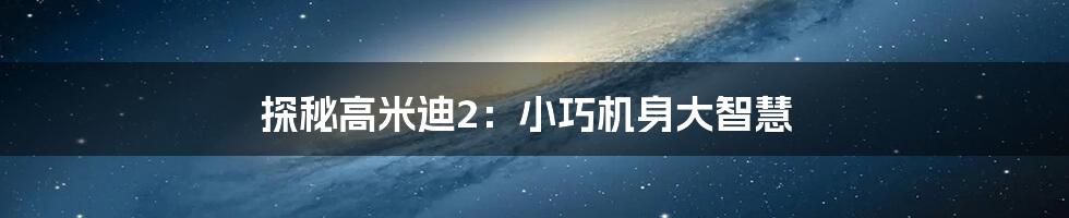 探秘高米迪2：小巧机身大智慧