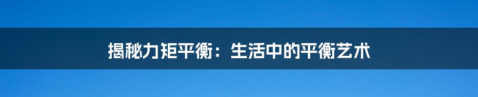 揭秘力矩平衡：生活中的平衡艺术