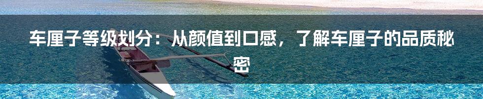 车厘子等级划分：从颜值到口感，了解车厘子的品质秘密