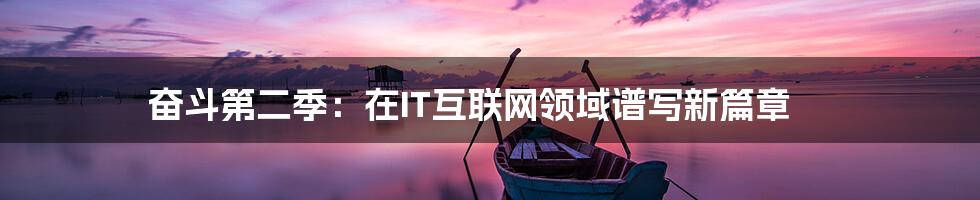 奋斗第二季：在IT互联网领域谱写新篇章