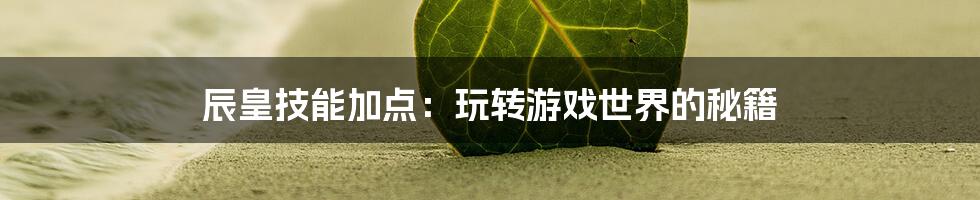 辰皇技能加点：玩转游戏世界的秘籍