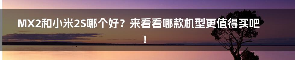 MX2和小米2S哪个好？来看看哪款机型更值得买吧！