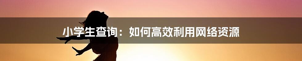 小学生查询：如何高效利用网络资源