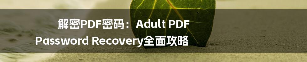 解密PDF密码：Adult PDF Password Recovery全面攻略