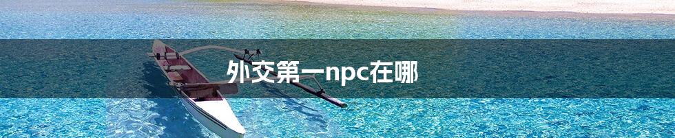 外交第一npc在哪