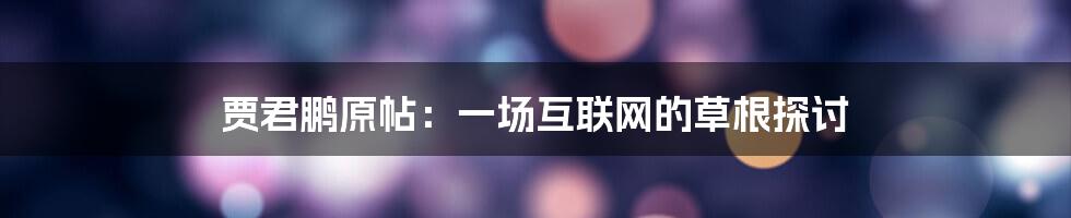 贾君鹏原帖：一场互联网的草根探讨