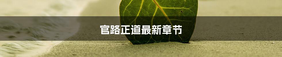 官路正道最新章节