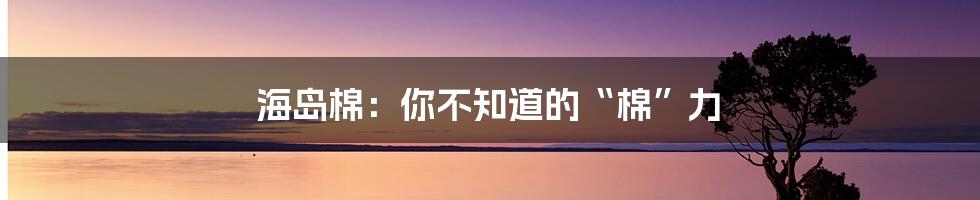 海岛棉：你不知道的“棉”力