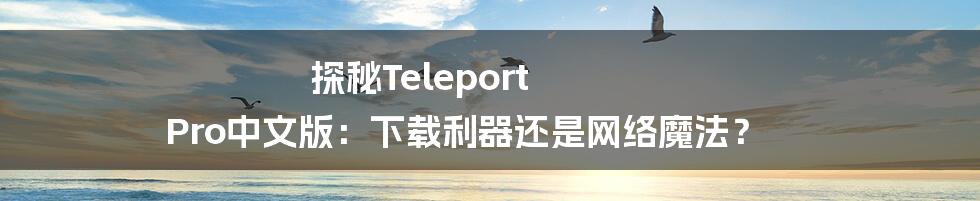 探秘Teleport Pro中文版：下载利器还是网络魔法？