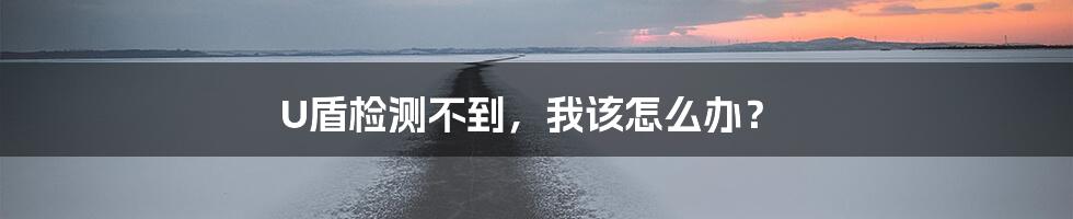 U盾检测不到，我该怎么办？