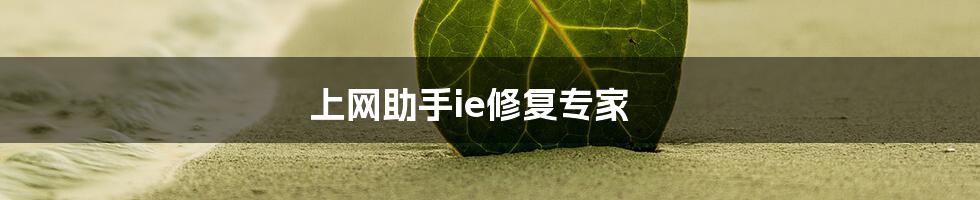 上网助手ie修复专家