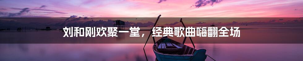 刘和刚欢聚一堂，经典歌曲嗨翻全场