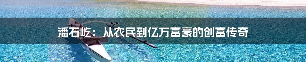 潘石屹：从农民到亿万富豪的创富传奇