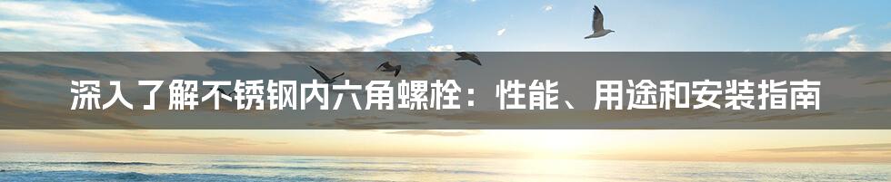 深入了解不锈钢内六角螺栓：性能、用途和安装指南