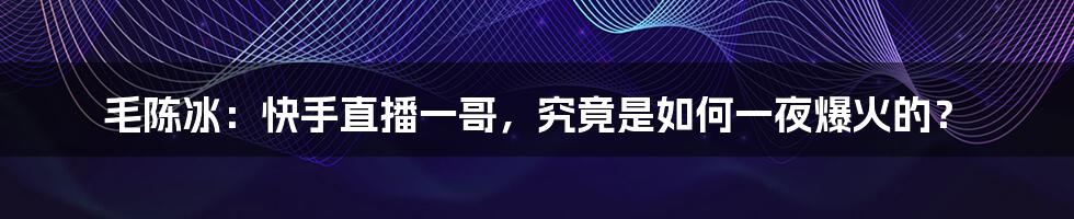 毛陈冰：快手直播一哥，究竟是如何一夜爆火的？