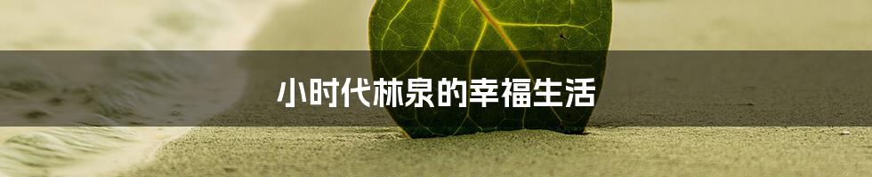 小时代林泉的幸福生活