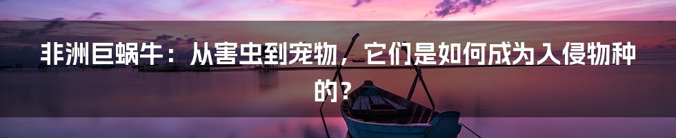 非洲巨蜗牛：从害虫到宠物，它们是如何成为入侵物种的？