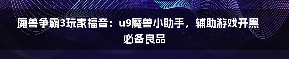 魔兽争霸3玩家福音：u9魔兽小助手，辅助游戏开黑必备良品