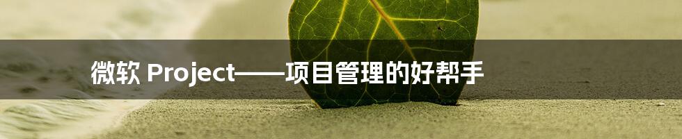 微软 Project——项目管理的好帮手