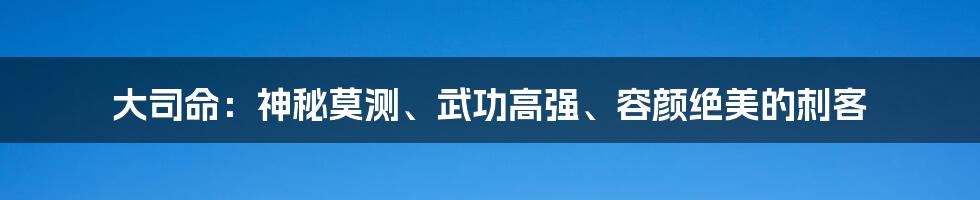 大司命：神秘莫测、武功高强、容颜绝美的刺客