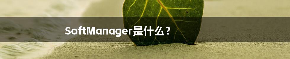 SoftManager是什么？