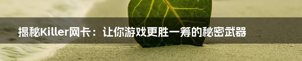 揭秘Killer网卡：让你游戏更胜一筹的秘密武器