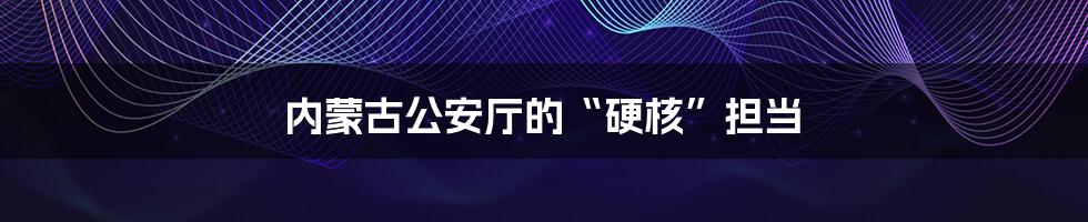 内蒙古公安厅的“硬核”担当