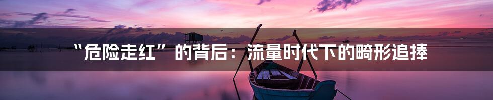 “危险走红”的背后：流量时代下的畸形追捧